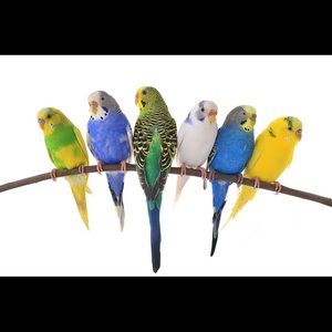 Meet your Posher, Maribel